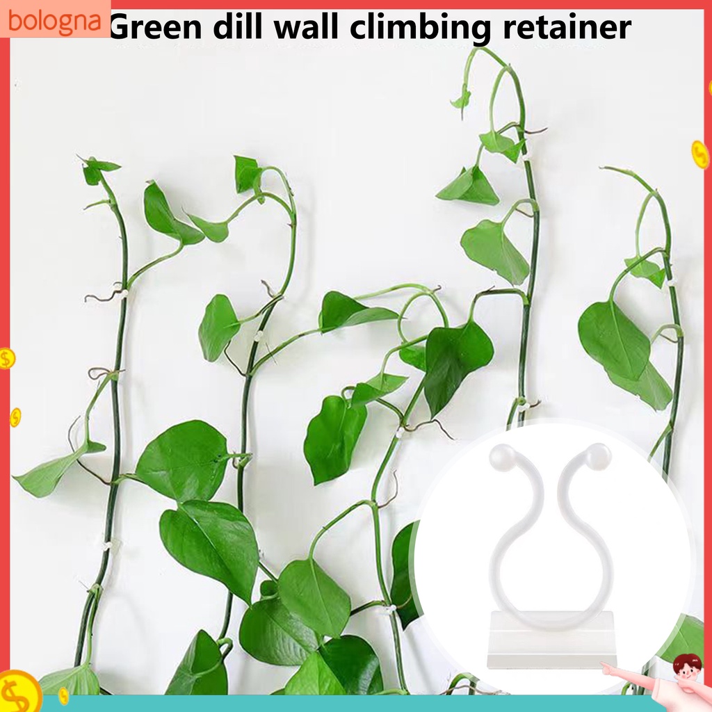 Set 50 Kẹp Cố Định Cành Cây Dây Leo Gắn Tường Tự Dính
