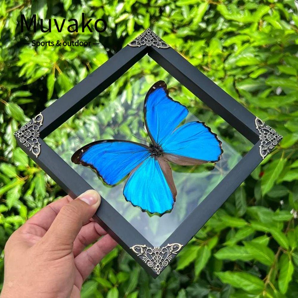 Khung Trưng Bày Hình Bướm Nghệ Thuật Sáng Tạo Siêu Bền