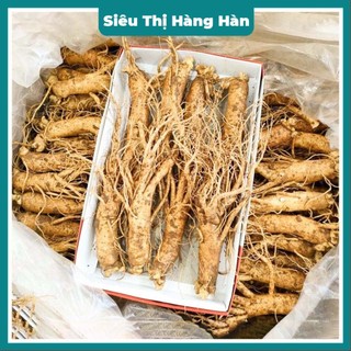 SÂM 8 CỦ\KG _ BÁN LẺ 1 CỦ Sâm hàn quốc