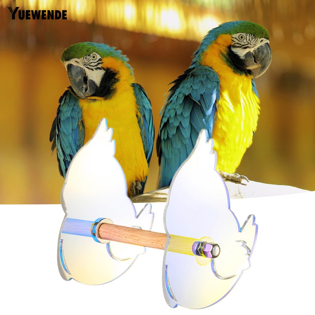 Giá Đỡ Bằng Acrylic Màu Gradient Chống Vỡ Dùng Tập Gym / Thể Hình Cho Vẹt