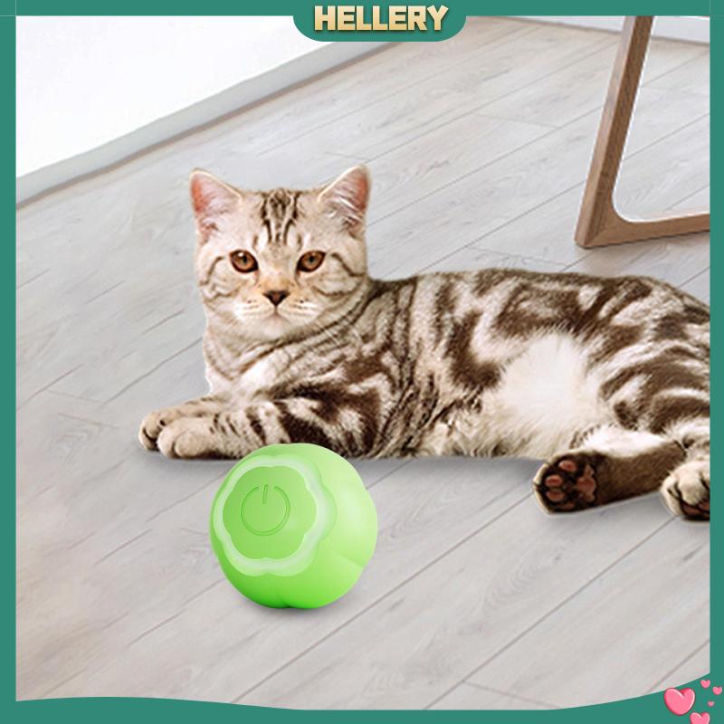 Đồ Chơi Tương Tác Với Mèo Có Đèn LED Độc Đáo