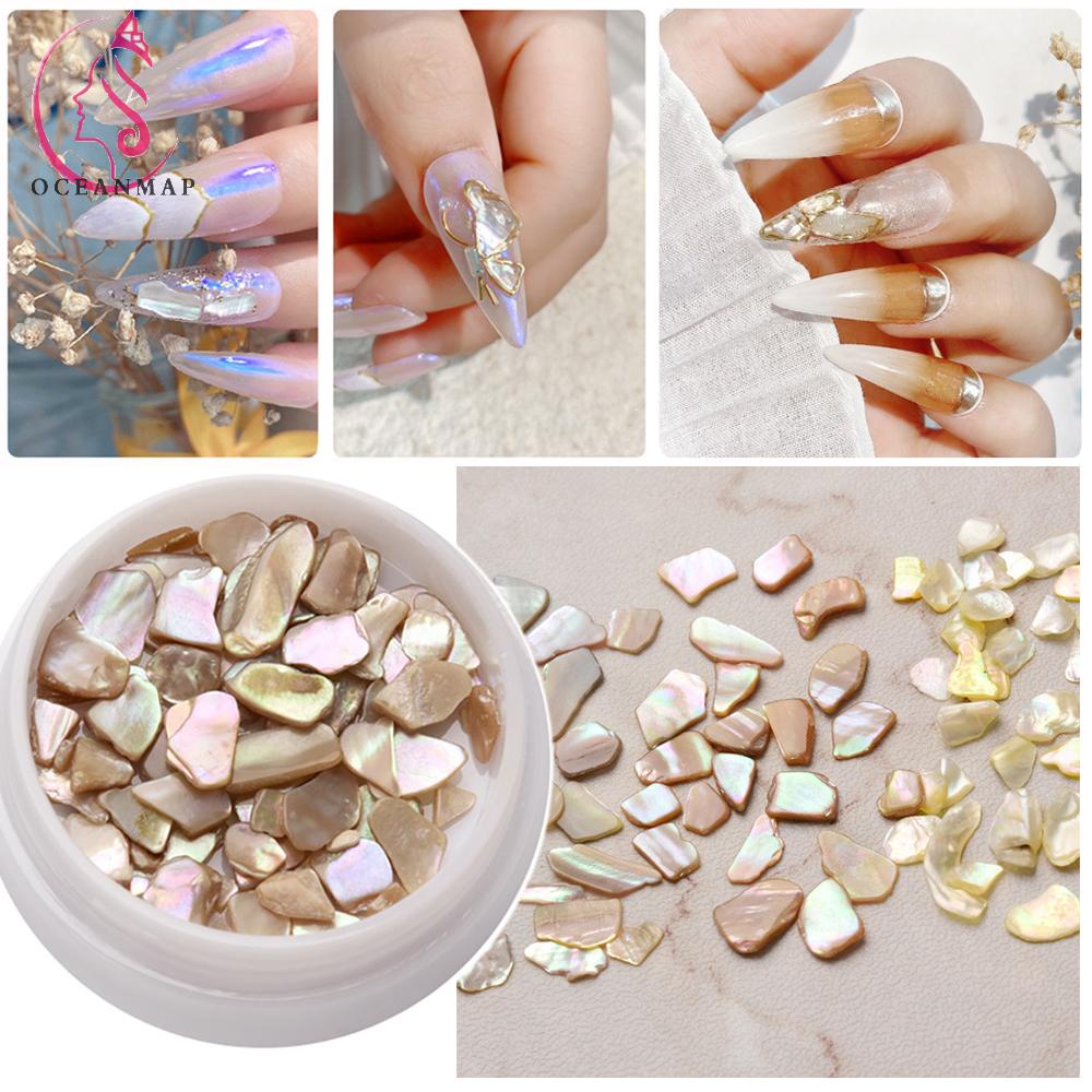 Hộp Phụ Kiện Vỏ Sò 3d Nhiều Kích Cỡ Trang Trí Móng Nghệ Thuật