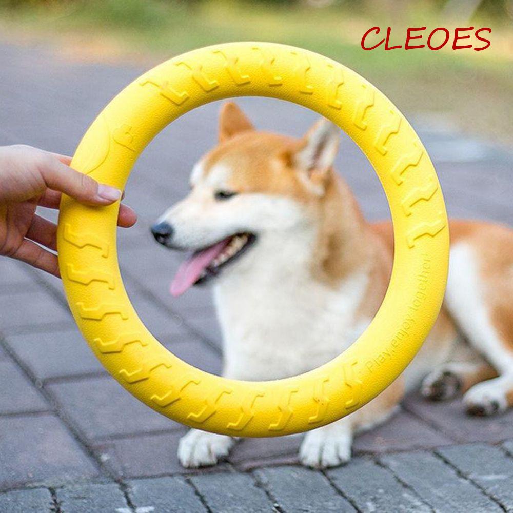 Đồ Chơi Kéo Vòng Chống Cắn Tương Tác Cho Thú Cưng