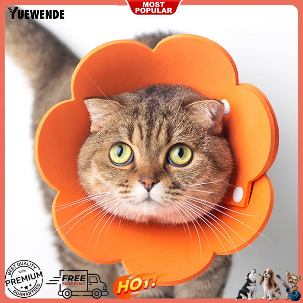 Vòng Cổ EVA In Hoa Bảo Vệ Cho Thú Cưng