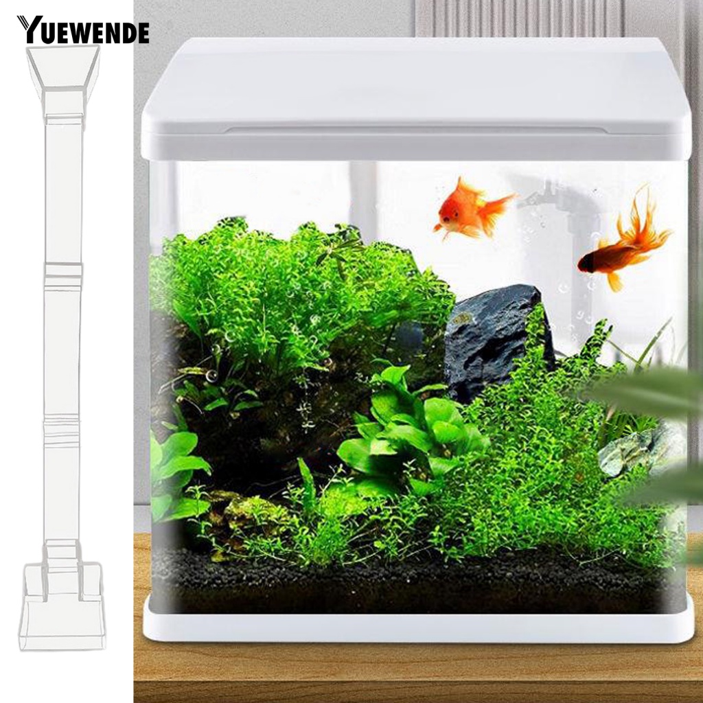 1 Bộ Dụng Cụ Cho Cá Ăn Trong Suốt Sức Chứa Lớn