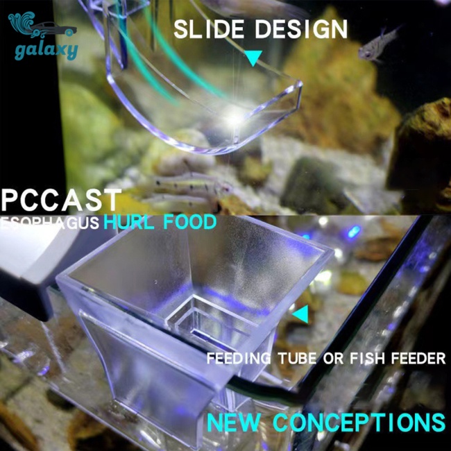 Galaxy Bát Đựng Thức Ăn Cho Cá Ăn Có Giác Hút Tiện Lợi