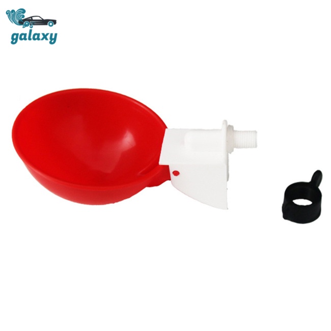 Galaxy Cốc Uống Nước Tự Động Cho Gà / Chim Bồ Câu