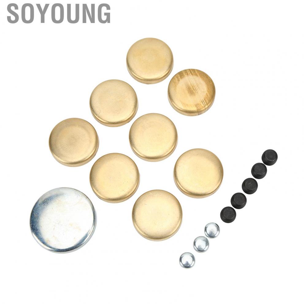Soyoung Freeze Plug Kit for Dorman 567‑001 Rustproof Stable High Strength Brass Replacement Chevy Small Block 283ci 305ci 327ci