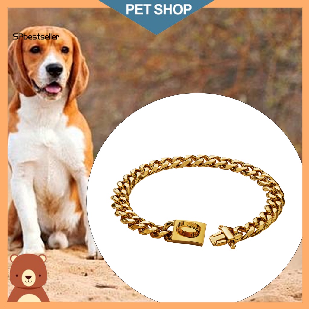 Vòng Cổ Choker Bằng Thép Không Gỉ Màu Sắc Thời Trang Cho Thú Cưng