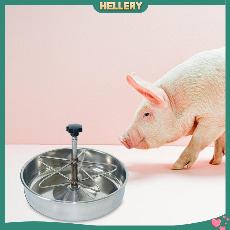 Dụng Cụ Cho Heo Ăn Tiện Dụng Chất Lượng Cao