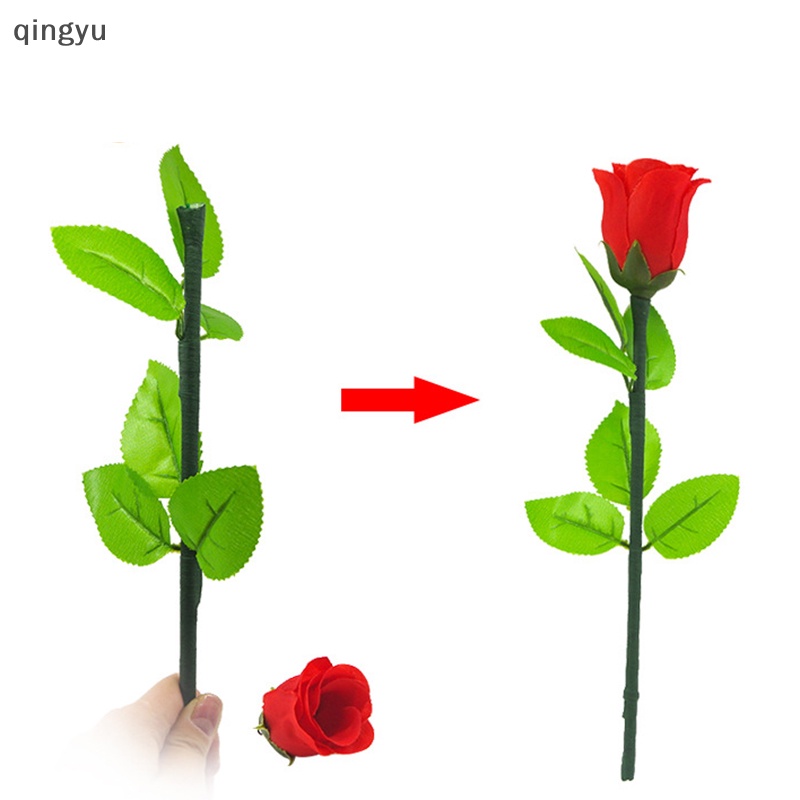 Hoa Hồng qingyu Dùng Làm Đạo Cụ Ảo Thuật