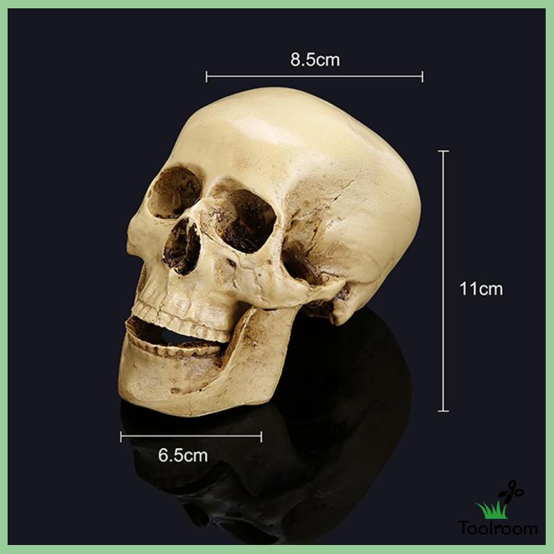 Mô Hình Đầu Lâu Phong Cách Gothic Trang Trí Nhà Cửa