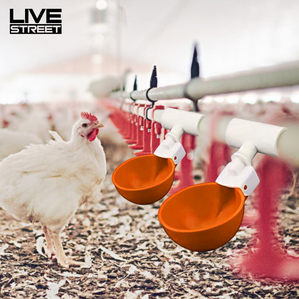 Bộ 5 Cốc Uống Nước Cho Gà Có Thể Tái Sử Dụng Tiện Lợi