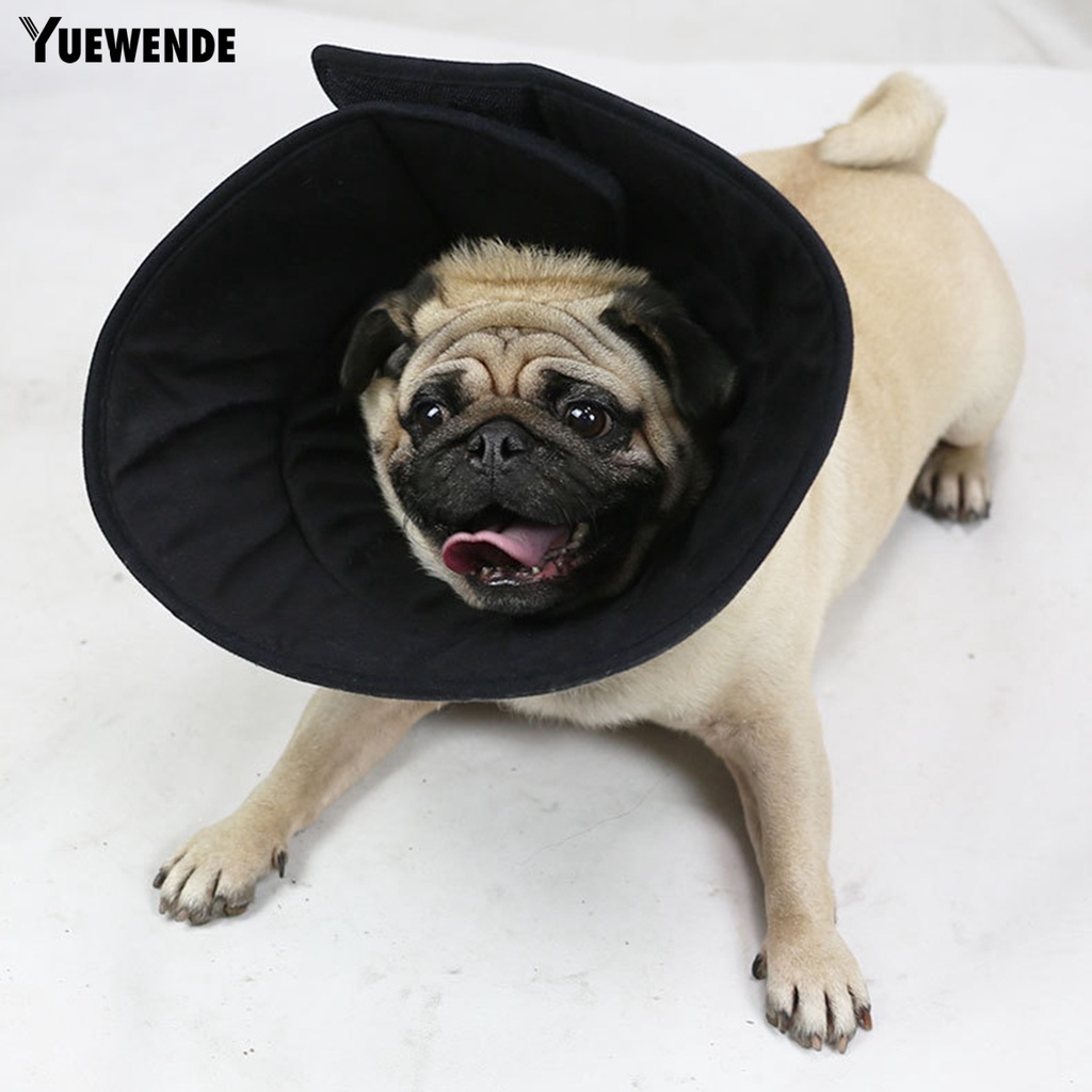 Vòng Cổ Chống Cắn / Chống Thú Cưng Cắn Có Thể Điều Chỉnh Kích Cỡ Bảo Vệ Cổ