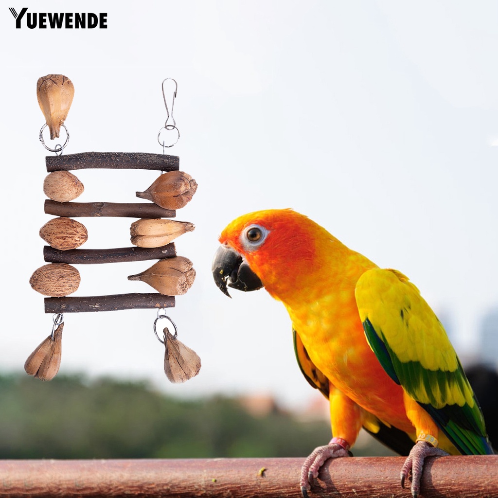 Đồ Chơi Tháo Lắp Linh Hoạt Chống Trầy Xước An Toàn Cho Vẹt Macaw