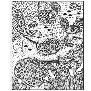 Coral Reef Magic Painting Book