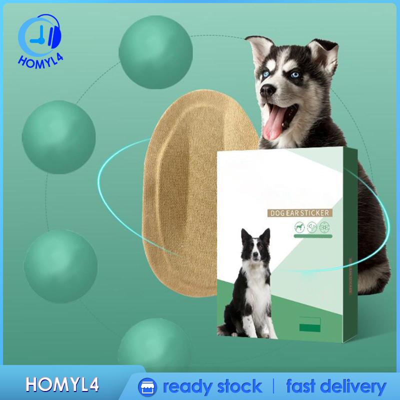 Set 2 Miếng Dán Cố Định Tai Đứng Hình Tai Cún