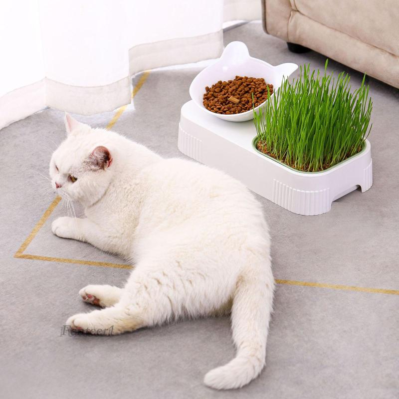 [Fenteer1] Khay Cỏ Ươm Mầm Nuôi Mèo