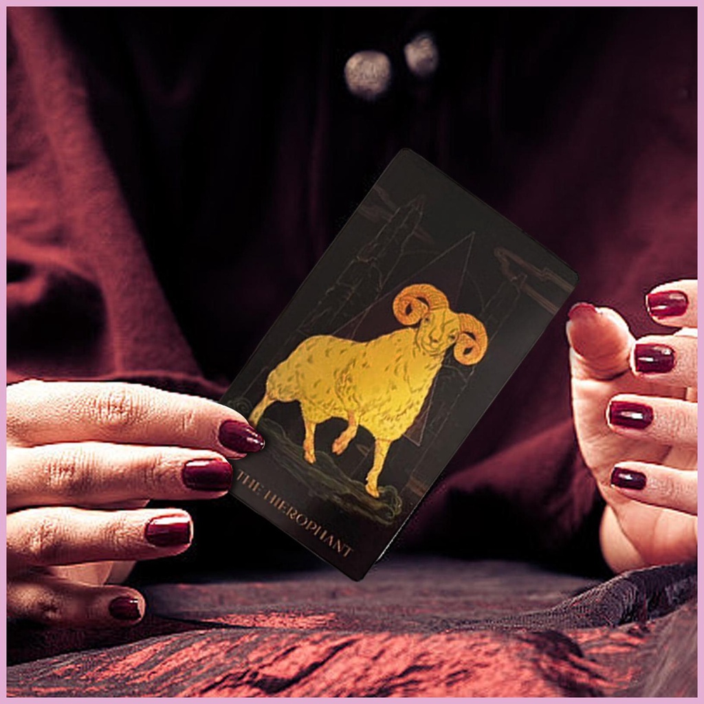 Bộ Bài Tarot Oracle Hình Động Vật Vui Nhộn