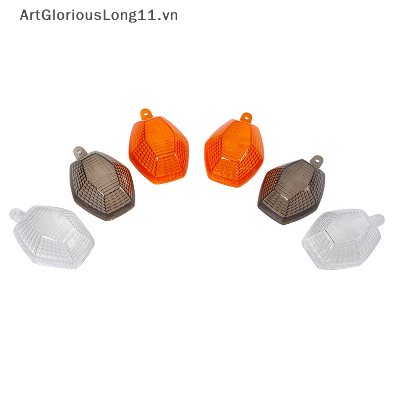 1 Cặp Ốp Đèn Tín Hiệu Rẽ Trong Suốt Dễ Lắp Đặt Cho DL650 V Strom