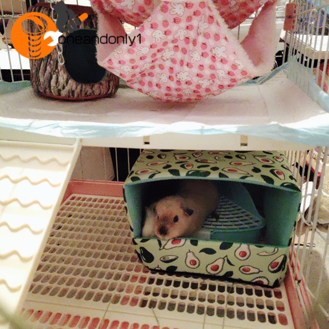 [COD] Giường Ngủ Cotton Ẩn Dưới Đáy Không Đáy Cho Thỏ / Nhím / Heo Guinea