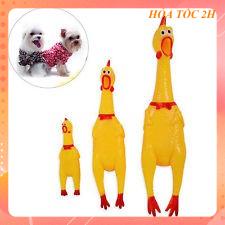 [ Bán sỉ ] ĐỒ CHƠI HÌNH CON GÀ