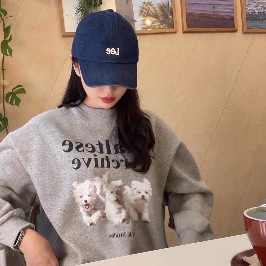 Đường phố hàn quốc mặc áo mực tức thì waikei con chó con in áo chui đầu có mũ phiên bản cao nam nữ áo cặp đôi