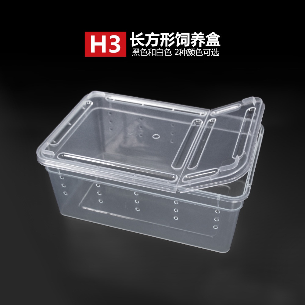 [hot sale]Xuyên Biên Giới Nomoh3 Bò Sát Rắn Trăn Nhện Bảo Vệ Cung Điện Thằn Lằn Bọ Cạp Rết Ếch Sừng Tắc Kè Bọ Cánh Cứng