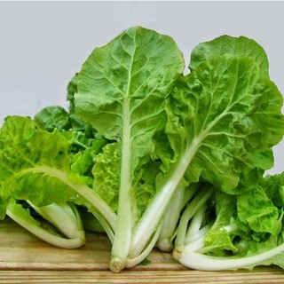 Hạt giống cải bẹ dún giòn ngọt