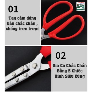 Kẹp Bắt Lươn, Tôm, Cua - Đồ Câu Simano