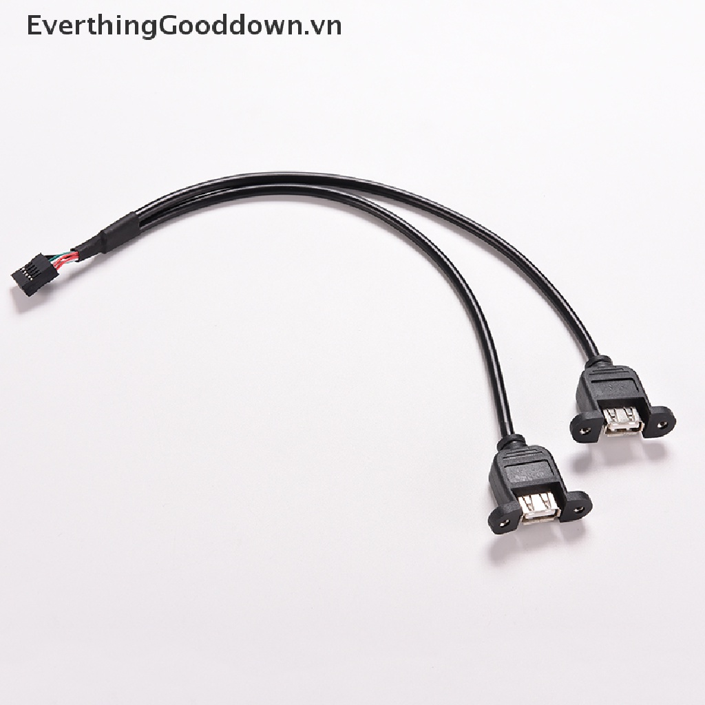 1 Cáp Chuyển Đổi Từ Giác Cắm USB A Sang Ổ Cắm 9 Pin 30cm / 1FT 2 Cổng Tiện Dụng