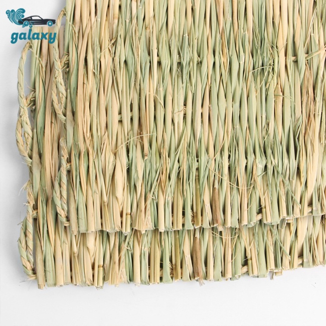 Galaxy Thảm Cỏ Đan Thủ Công Tự Nhiên Cho Hamster / Thỏ / Vẹt