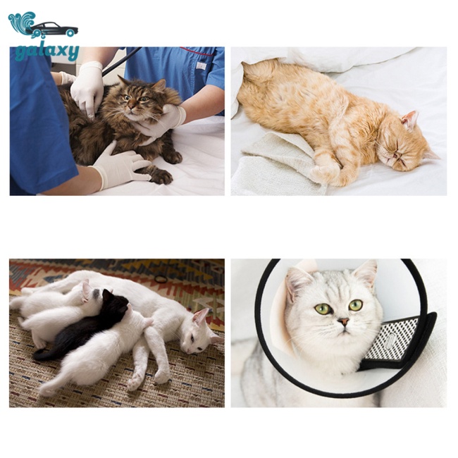 Galaxy Bộ Áo Liền Quần Co Giãn Tốt Chống Nhấp Nháy Dành Cho Thú Cưng