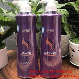 Dầu gội và dầu xả phục hồi tóc hư tổn Maxtop 600ml x 2