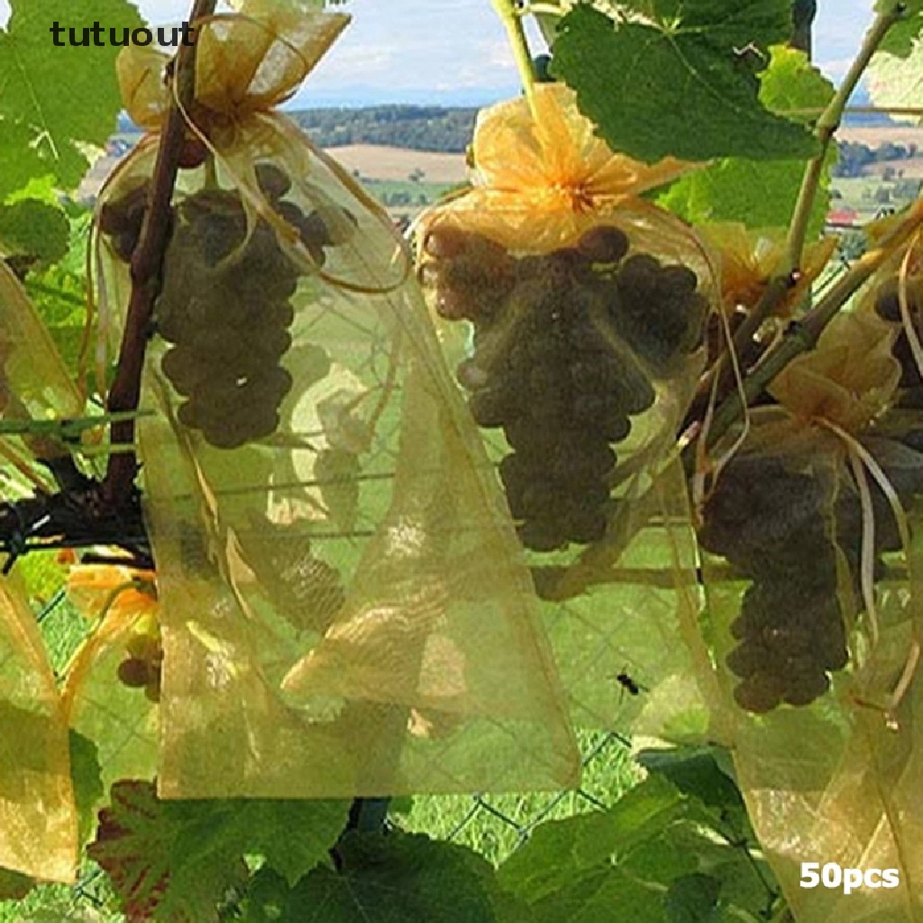 Bộ 50 Túi Lưới Dây Rút Bảo Vệ Cây Trồng Chống Côn Trùng