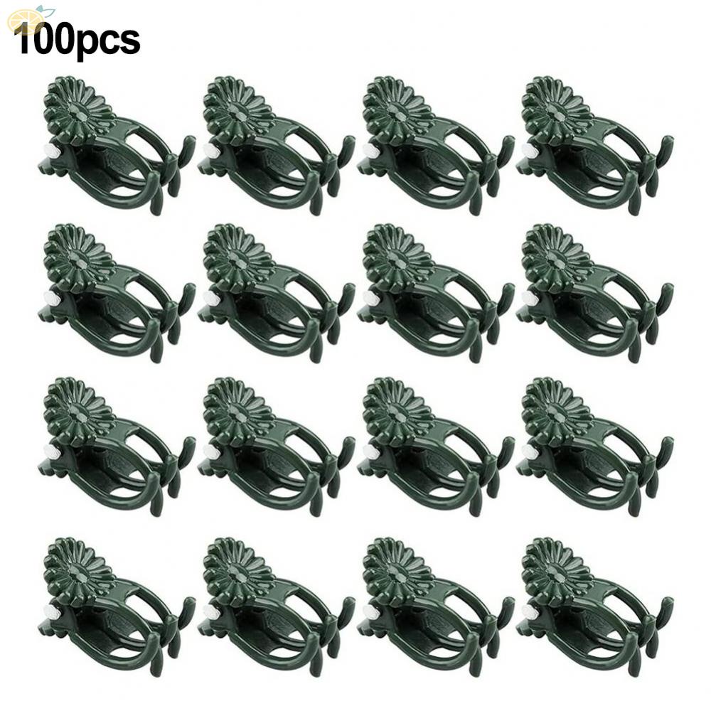 【VARSTR】Orchid Clips Flower Support Clamp Green Plant Clips Climbing Vine Stem Clasp