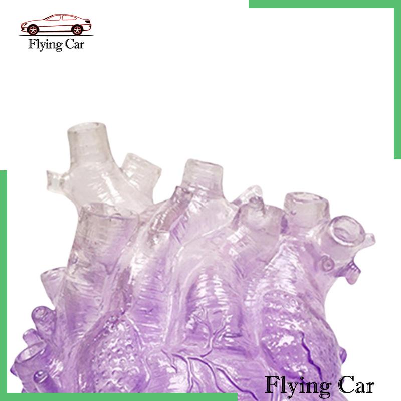 Chậu Hoa Hình Trái Tim Trong Suốt Kích Thước 5 Kích Thước