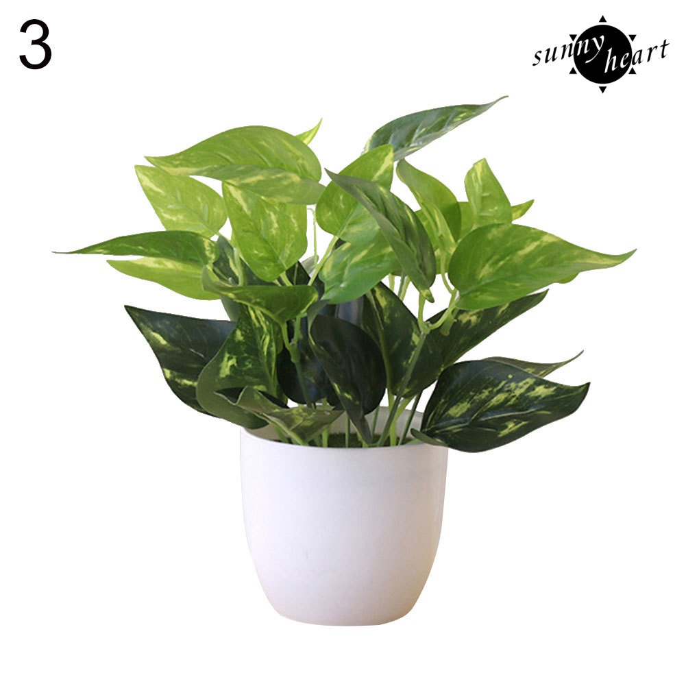 Chậu Cây Bonsai Bằng Nhựa Không Phai Đa Năng Trang Trí Nhà Cửa / Tiệc Cưới