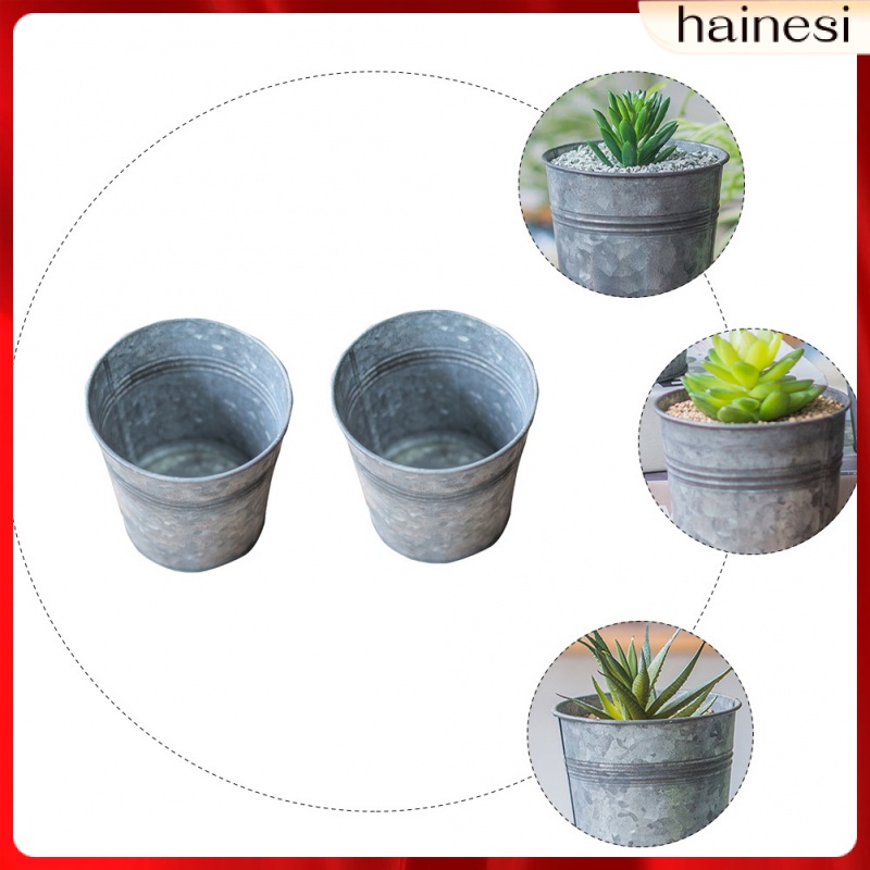 Set 2 Chậu Hoa Bằng Thiếc Phong Cách Bắc Âu