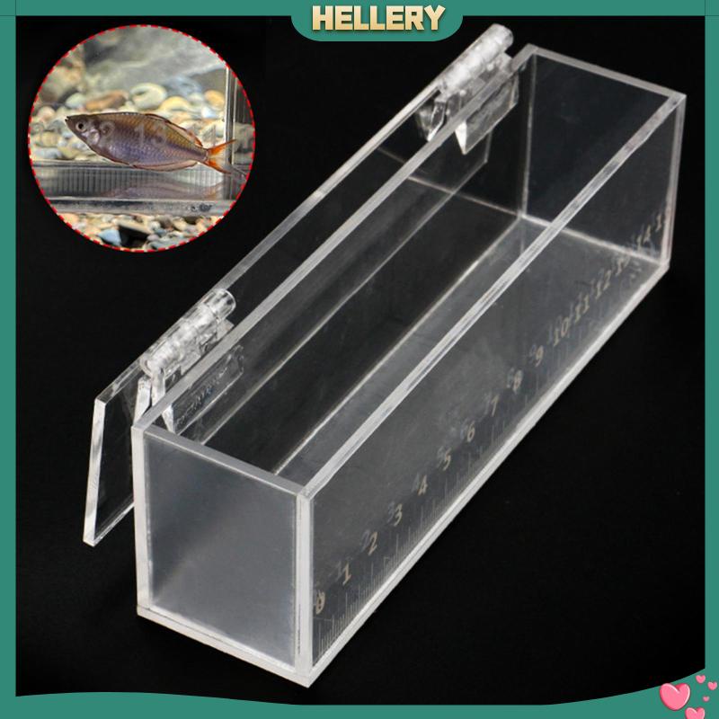 Hộp Đựng Cá Bằng Acrylic Trong Suốt Cỡ Nhỏ An Toàn