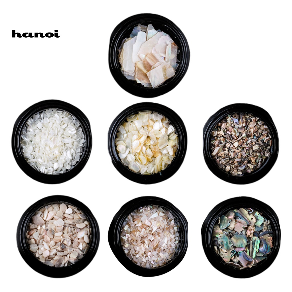 1 Hộp Vỏ Sò Tự Nhiên Trang Trí Móng Tay Nghệ Thuật