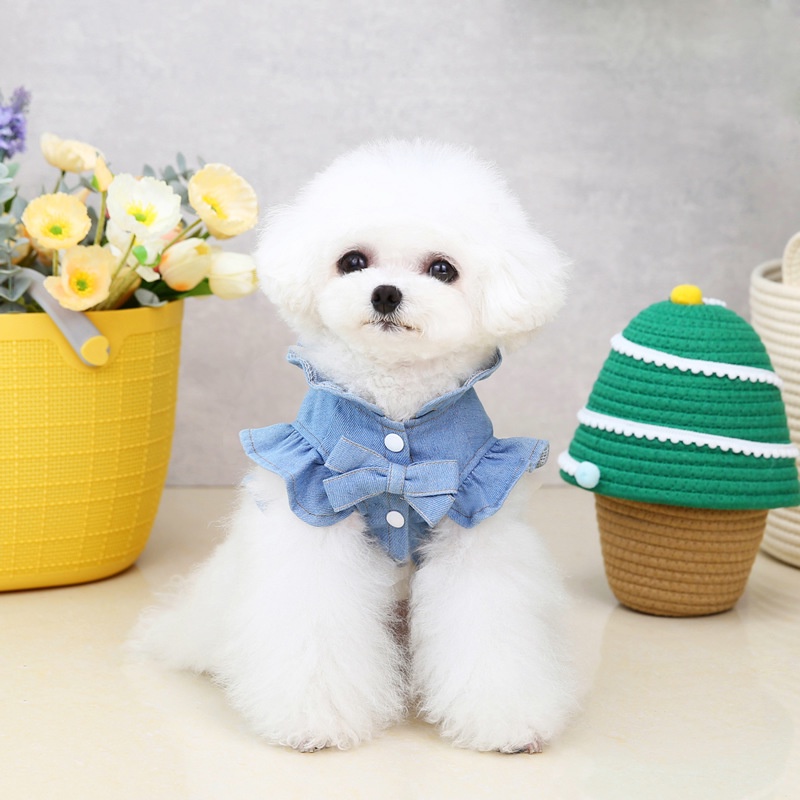 Đầm Jean Cotton Trang Phục Mùa Hè Dễ Thương Có Dây Xích Và Vòng Đeo Cho Chó Mèo Size Xl