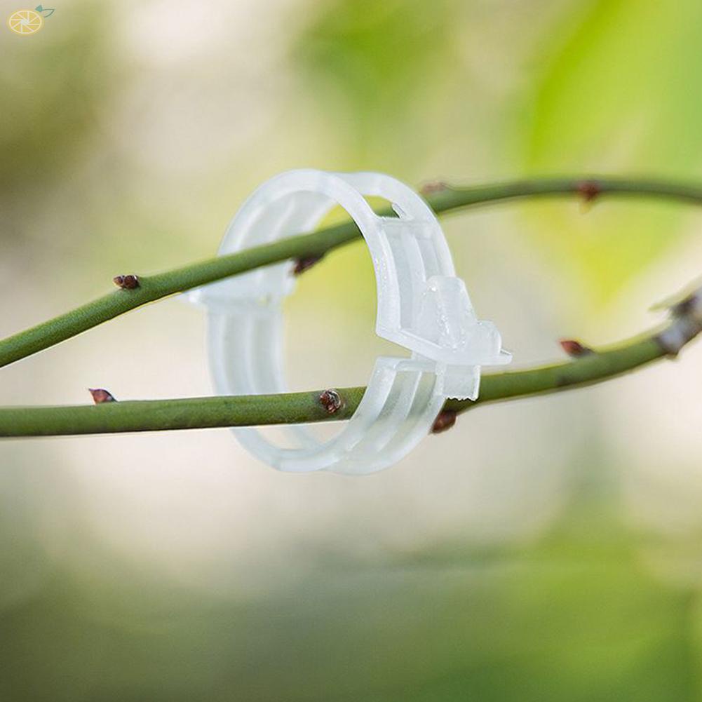 【VARSTR】Plant Support Clips Buckle Lightweight Reusable Stands Tools Ventilated