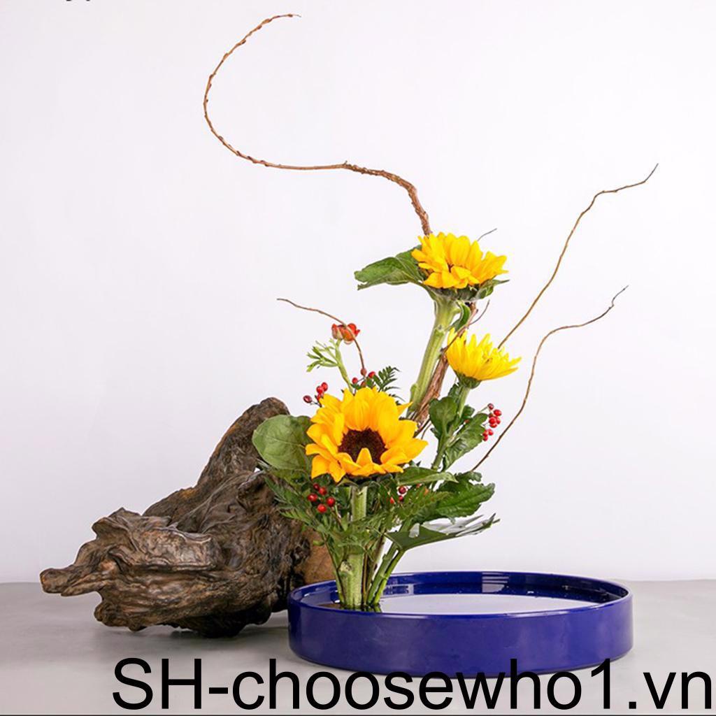 Chậu Hoa Tròn Bằng Nhựa