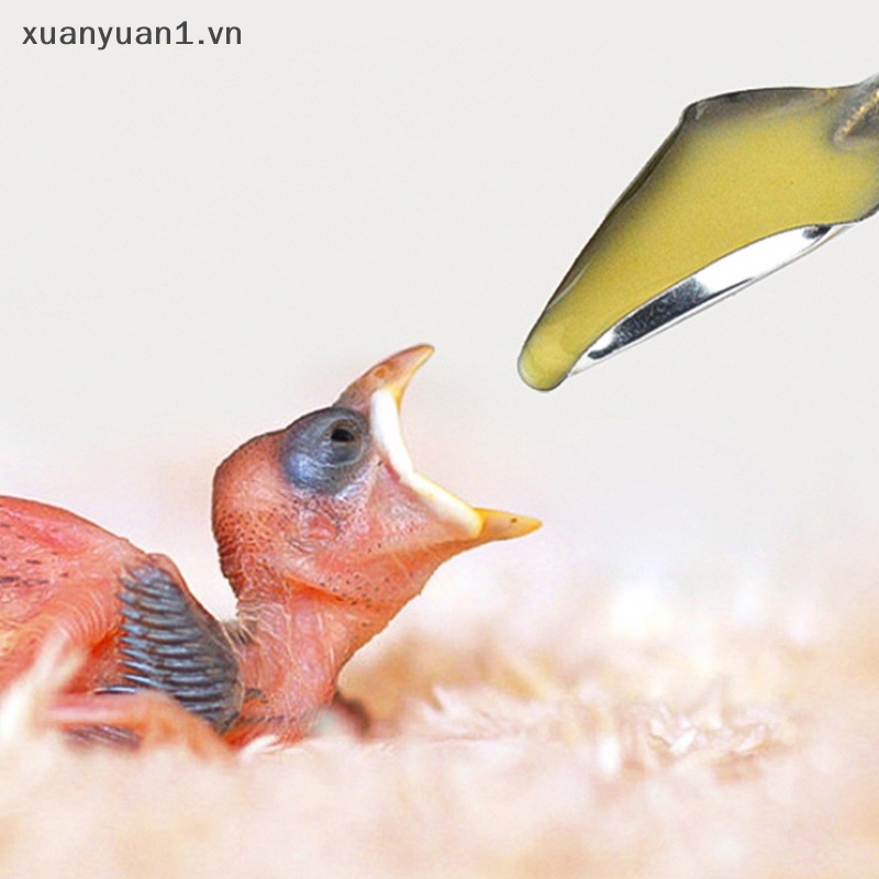 Muỗng Múc Sữa Bột Bằng Nhựa Dày Chịu Nhiệt Độ Cao Cho Chim Cảnh