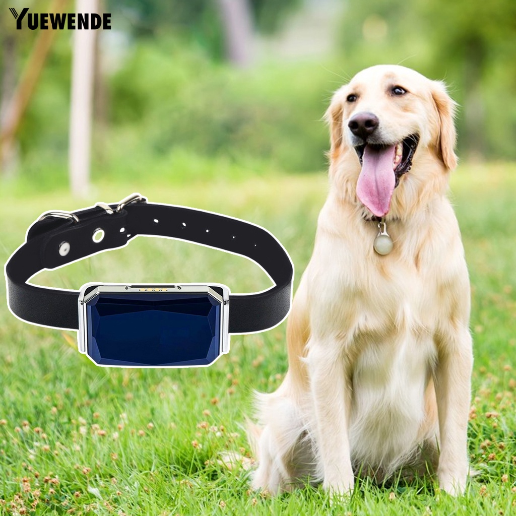 Vòng Cổ Theo Dõi Vị Trí Chống Nước IP68 Bằng Nhựa Cho Thú Cưng