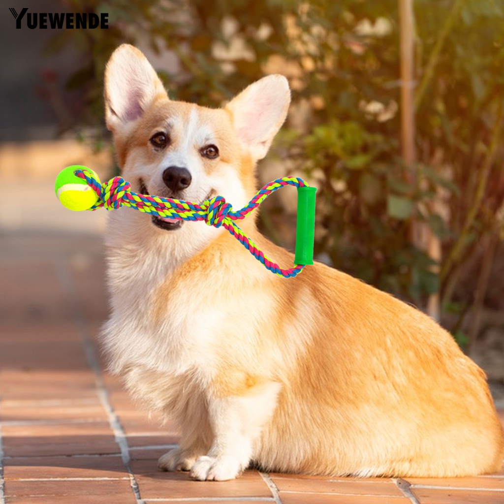 Đồ Chơi Dây Thừng Cotton Mềm Độ Co Giãn Cao Thoải Mái Chống Trầy Xước Chống Mài Mòn Làm Sạch Răng Cho Cún Cưng