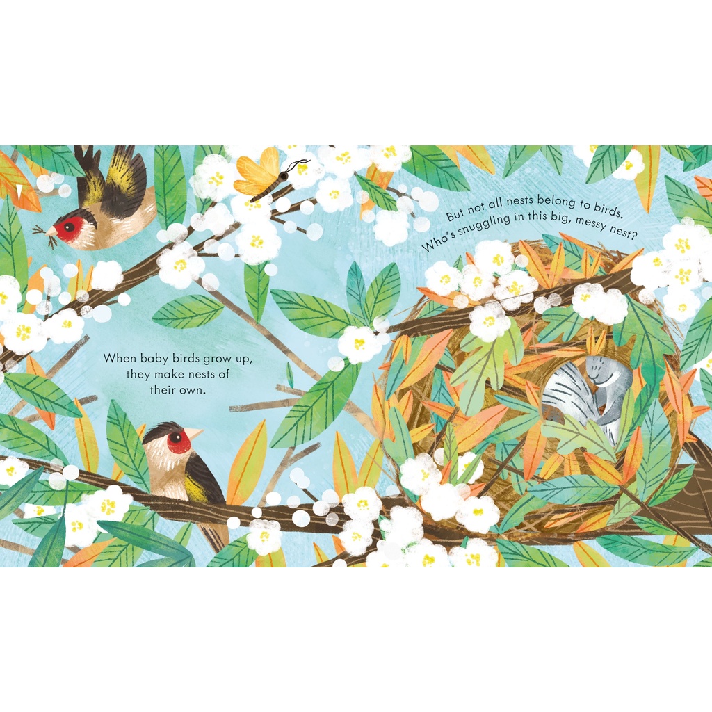 Peep Inside A Bird's Nest