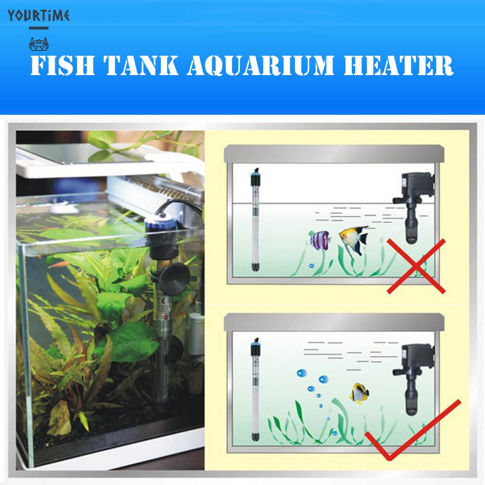 Bộ SưởI ẤM Cho Bể Cá 100W-500W