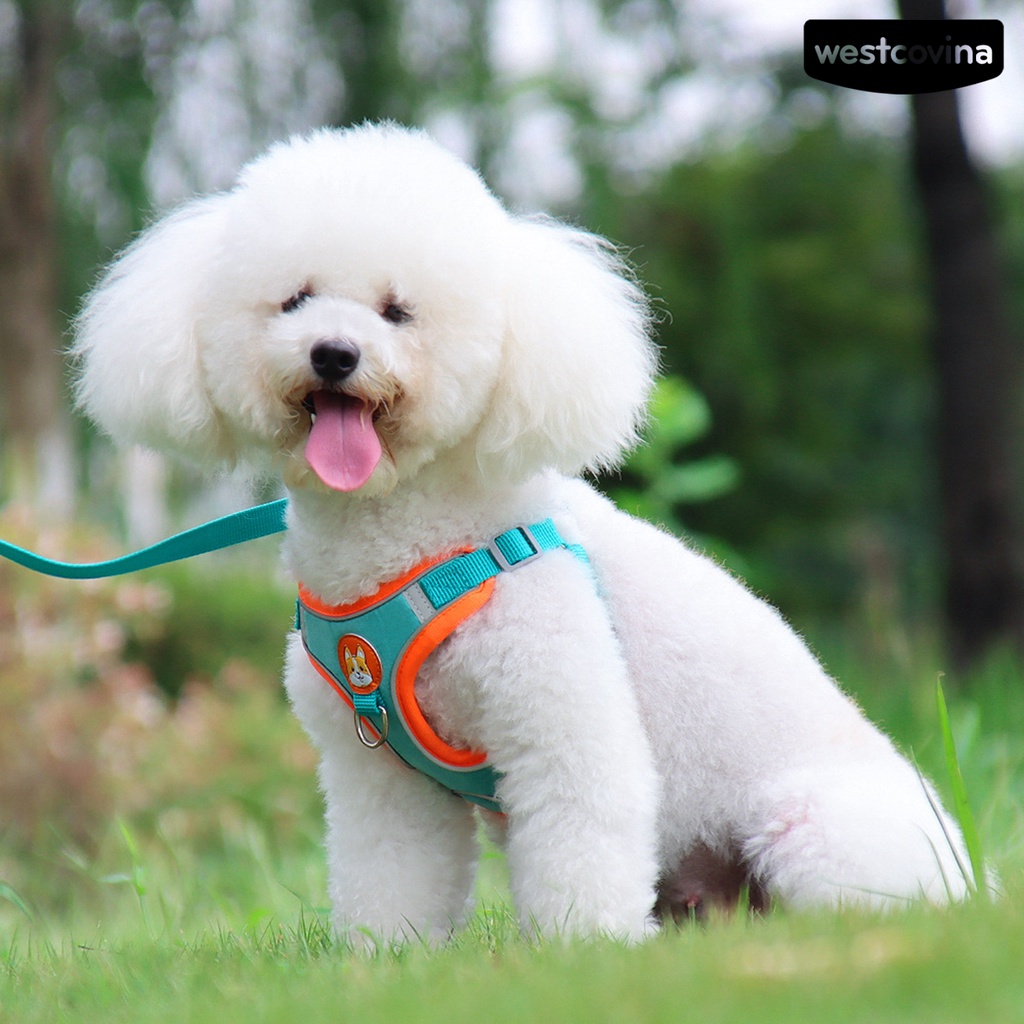 [COD]♞Set 2 Dây Dắt Thú Cưng Đi Dạo Chống Cút Thiết Kế Phản Quang Thoáng Khí